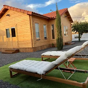 https://la-cabaa-de-quino.in-canary-islands.com